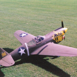 Curtiss P-40 Warhawk - 1/3.5 Scale
