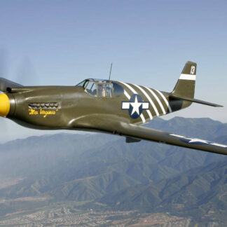 NORTH AMERICAN P-51A MUSTANG - 1/5 Scale