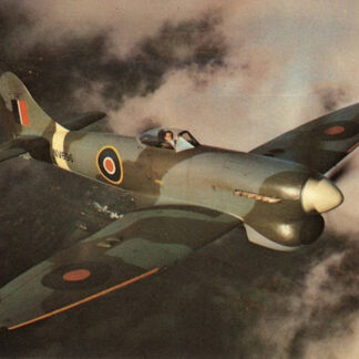 Hawker Tempest Mk. V - 1/4 Scale